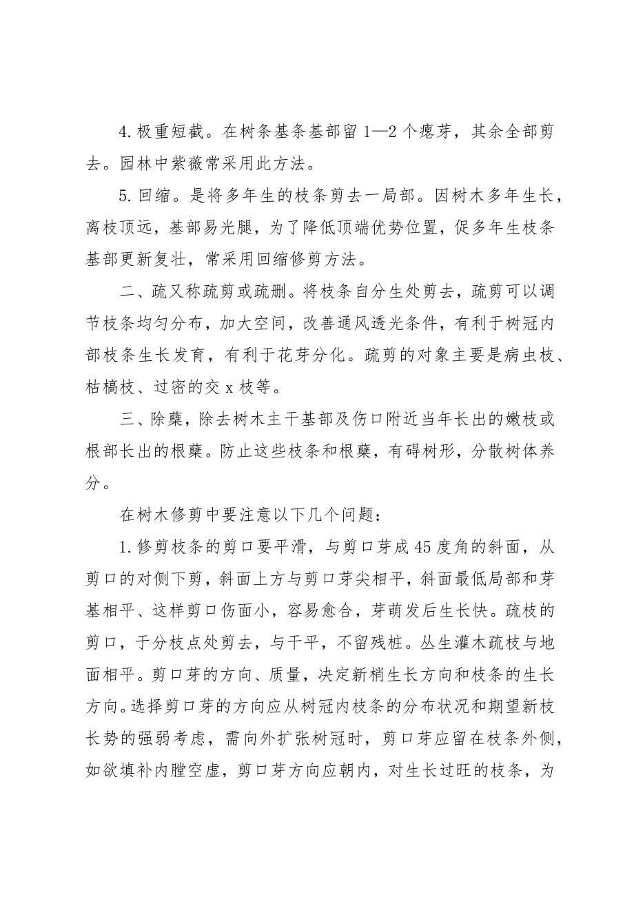 2023年春季园林树木的修剪新编.docx_第2页