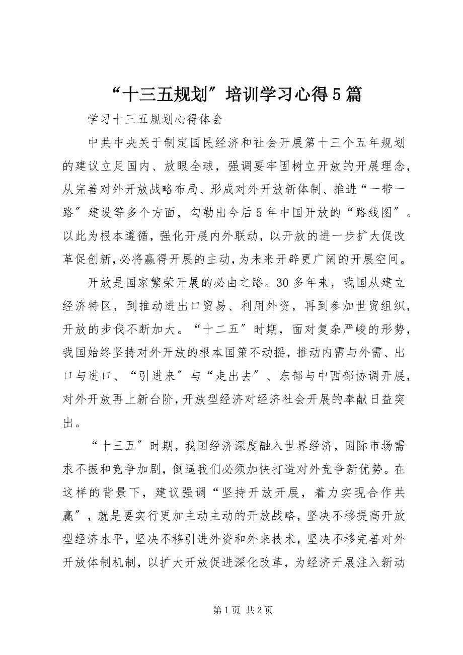 2023年十三五规划培训学习心得篇.docx_第1页