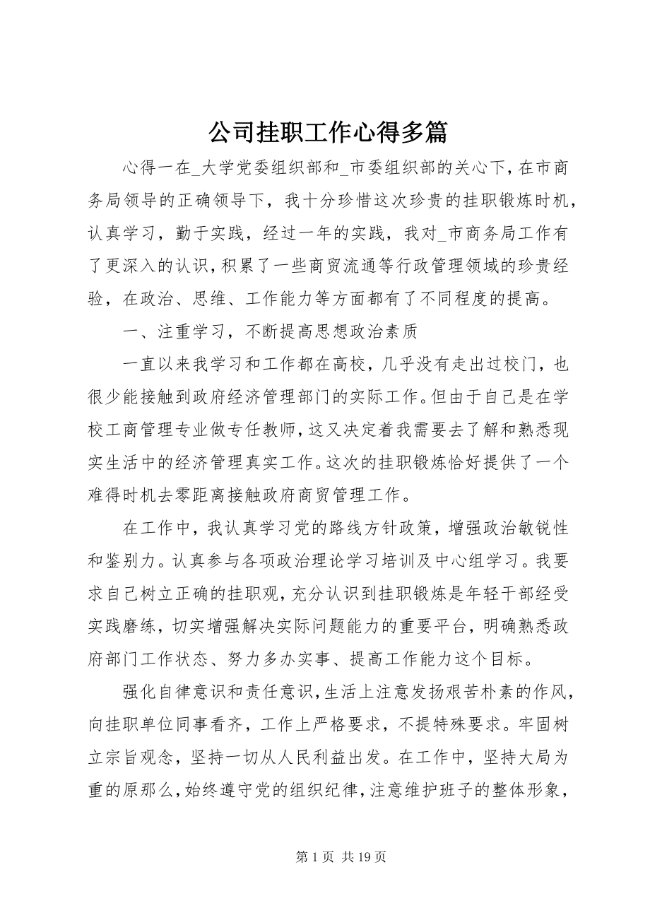 2023年公司挂职工作心得多篇.docx_第1页