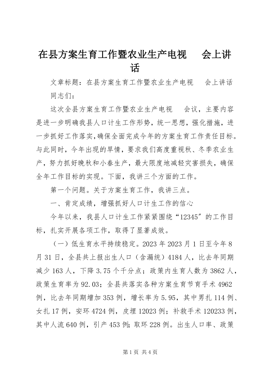 2023年在县计划生育工作暨农业生产电视电话会上致辞.docx_第1页