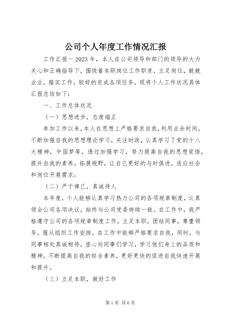 2023年公司个人年度工作情况汇报.docx_第1页