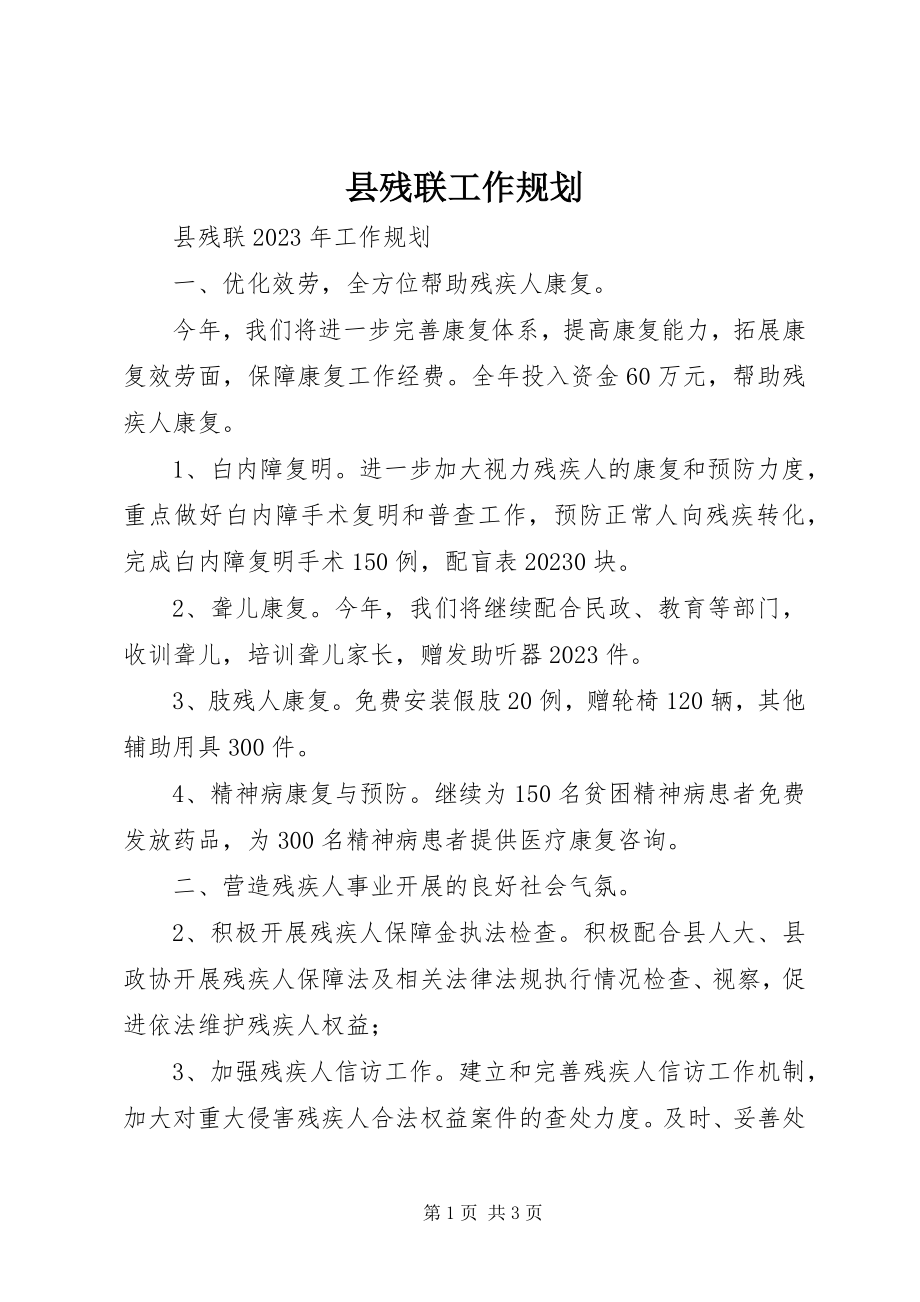 2023年县残联工作规划.docx_第1页