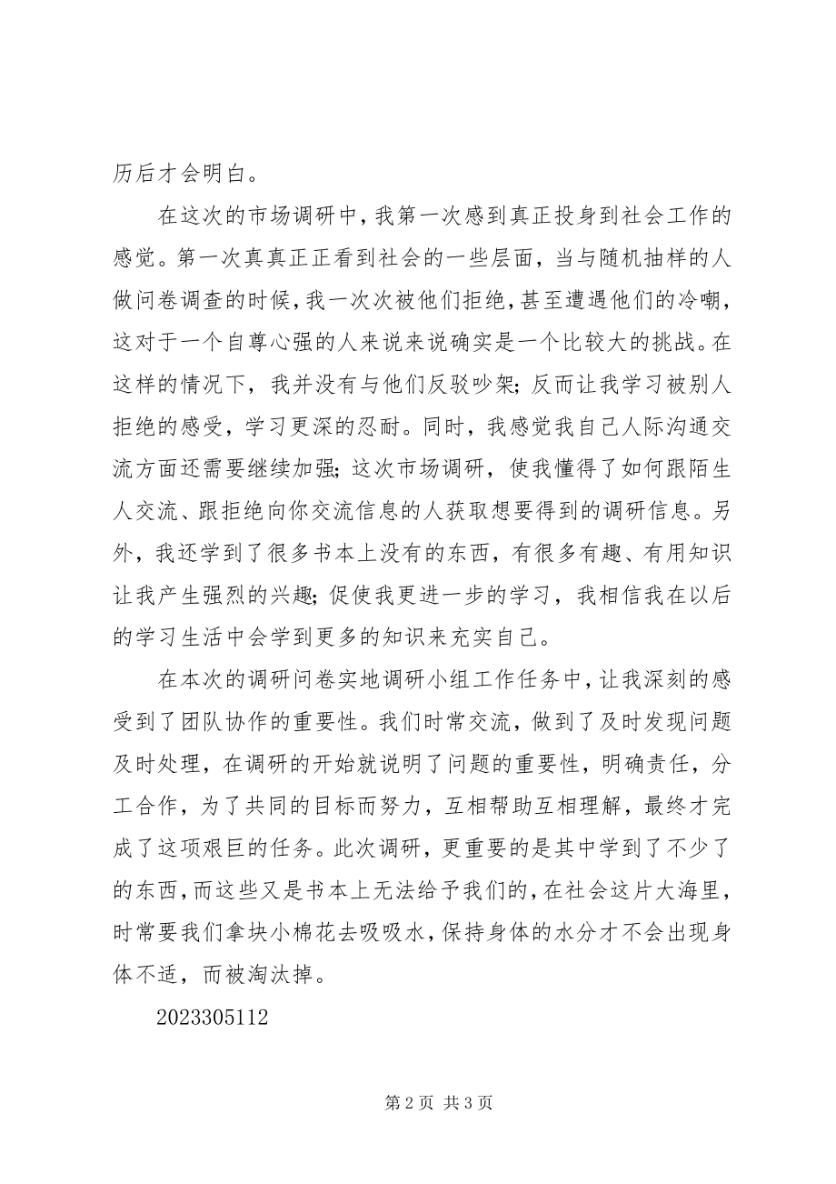 2023年市场实地调研个人总结.docx_第2页