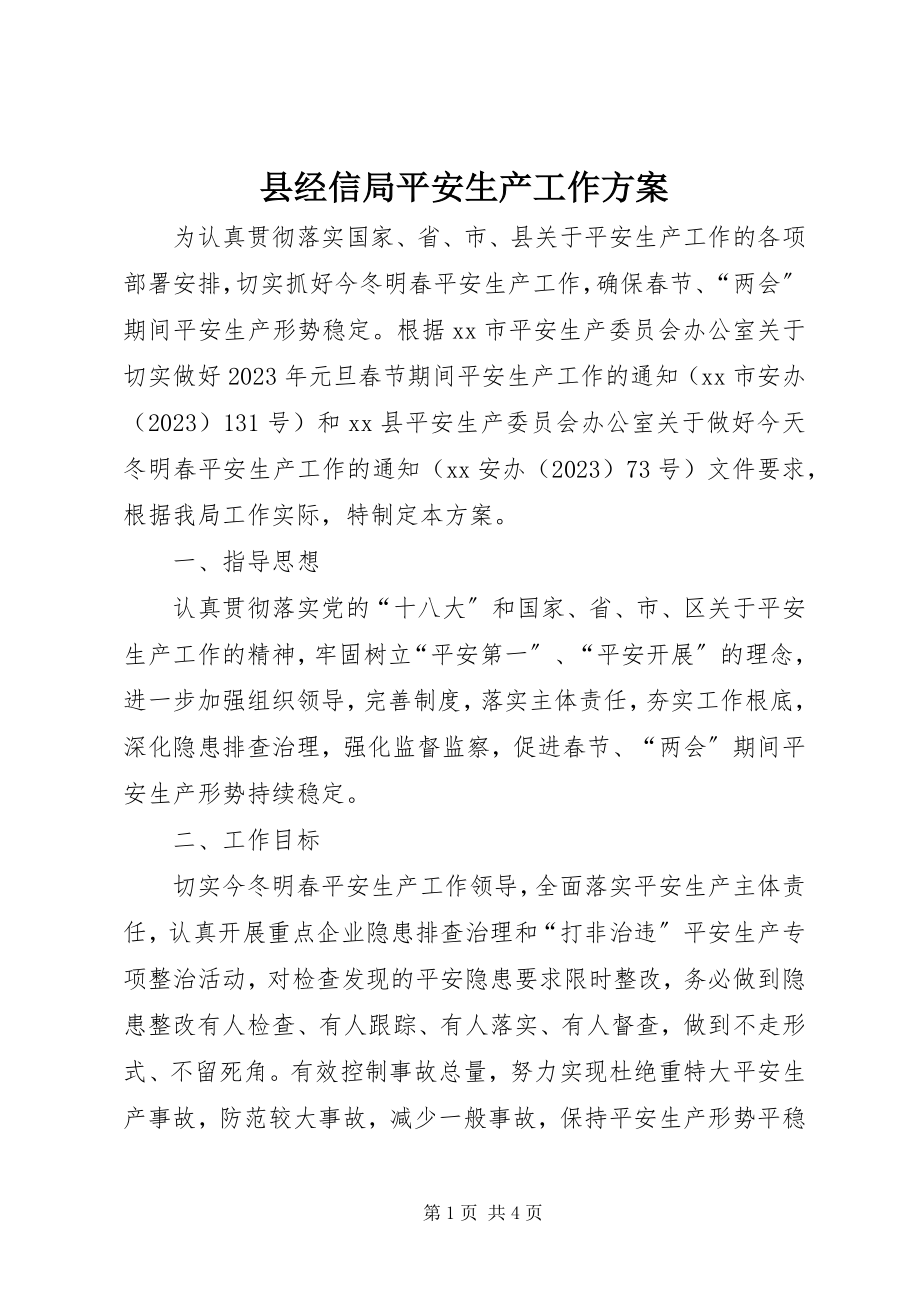 2023年县经信局安全生产工作计划.docx_第1页