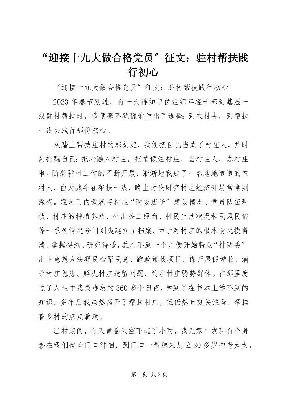 2023年迎接十九大做合格党员征文驻村帮扶践行初心.docx_第1页