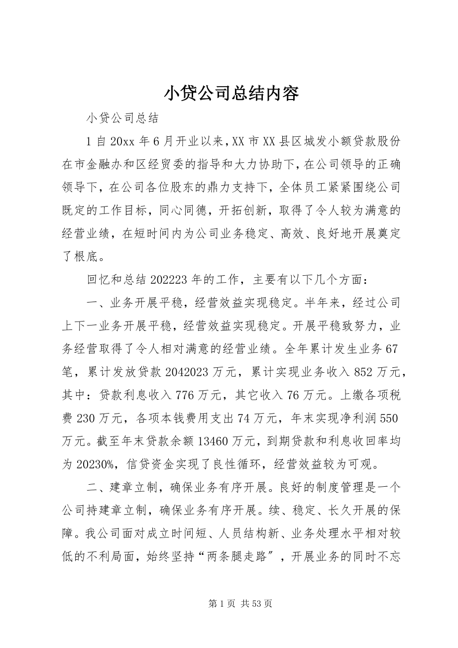 2023年小贷公司总结内容.docx_第1页