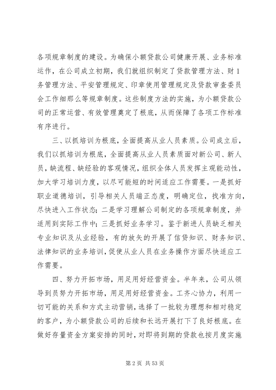 2023年小贷公司总结内容.docx_第2页