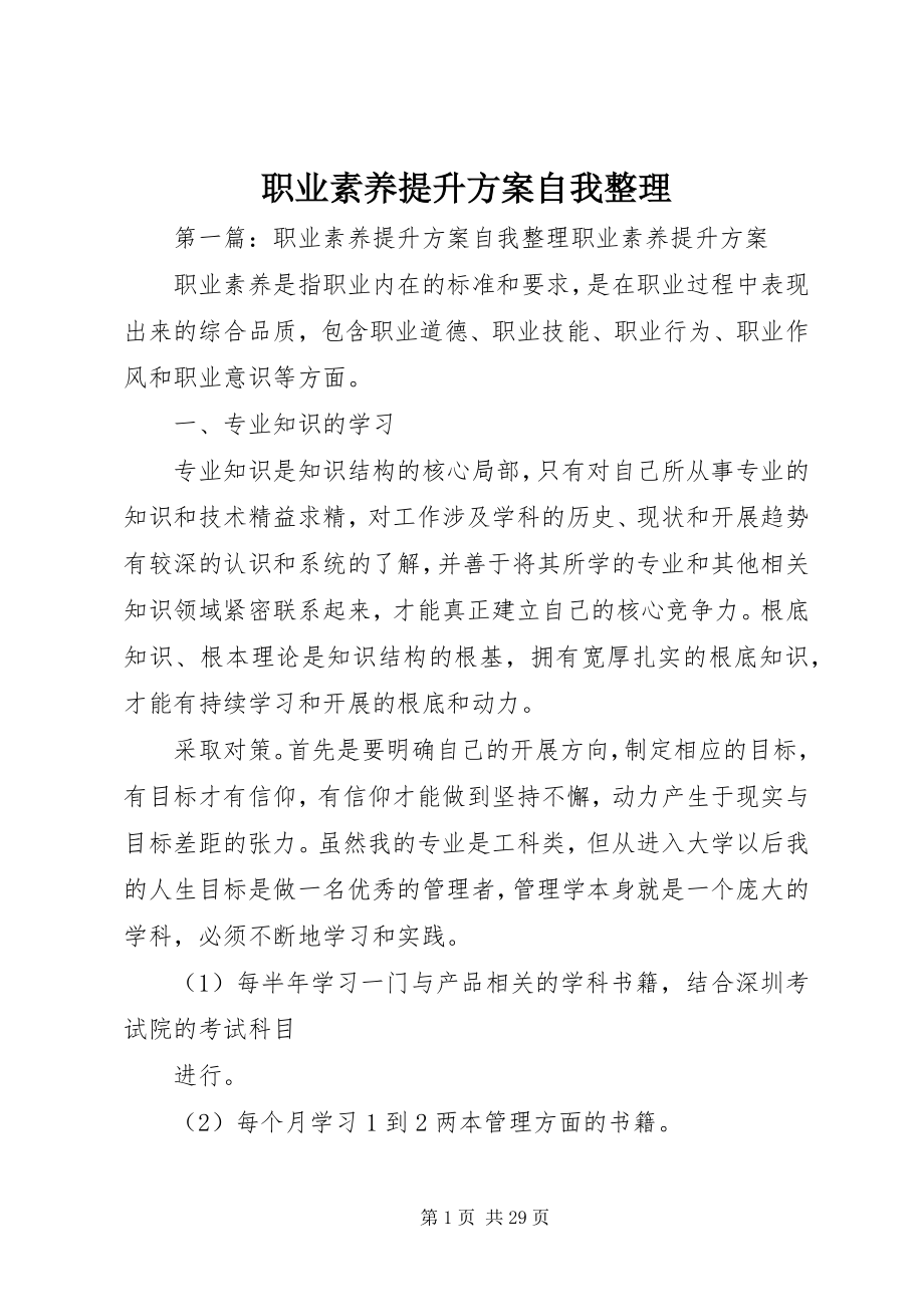 2023年职业素养提升计划自我整理.docx_第1页