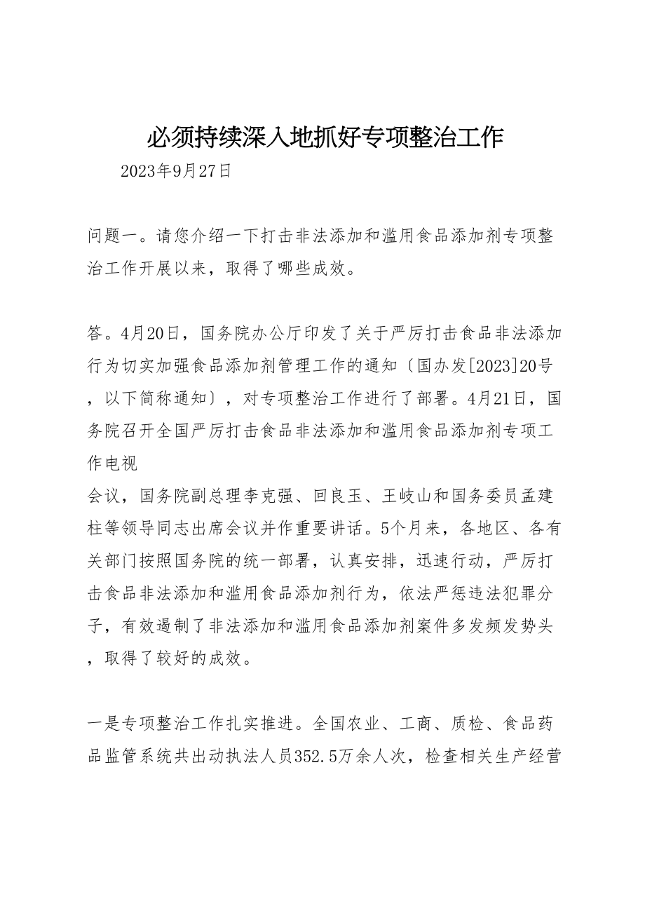 2023年必须持续深入地抓好专项整治工作新编.doc_第1页