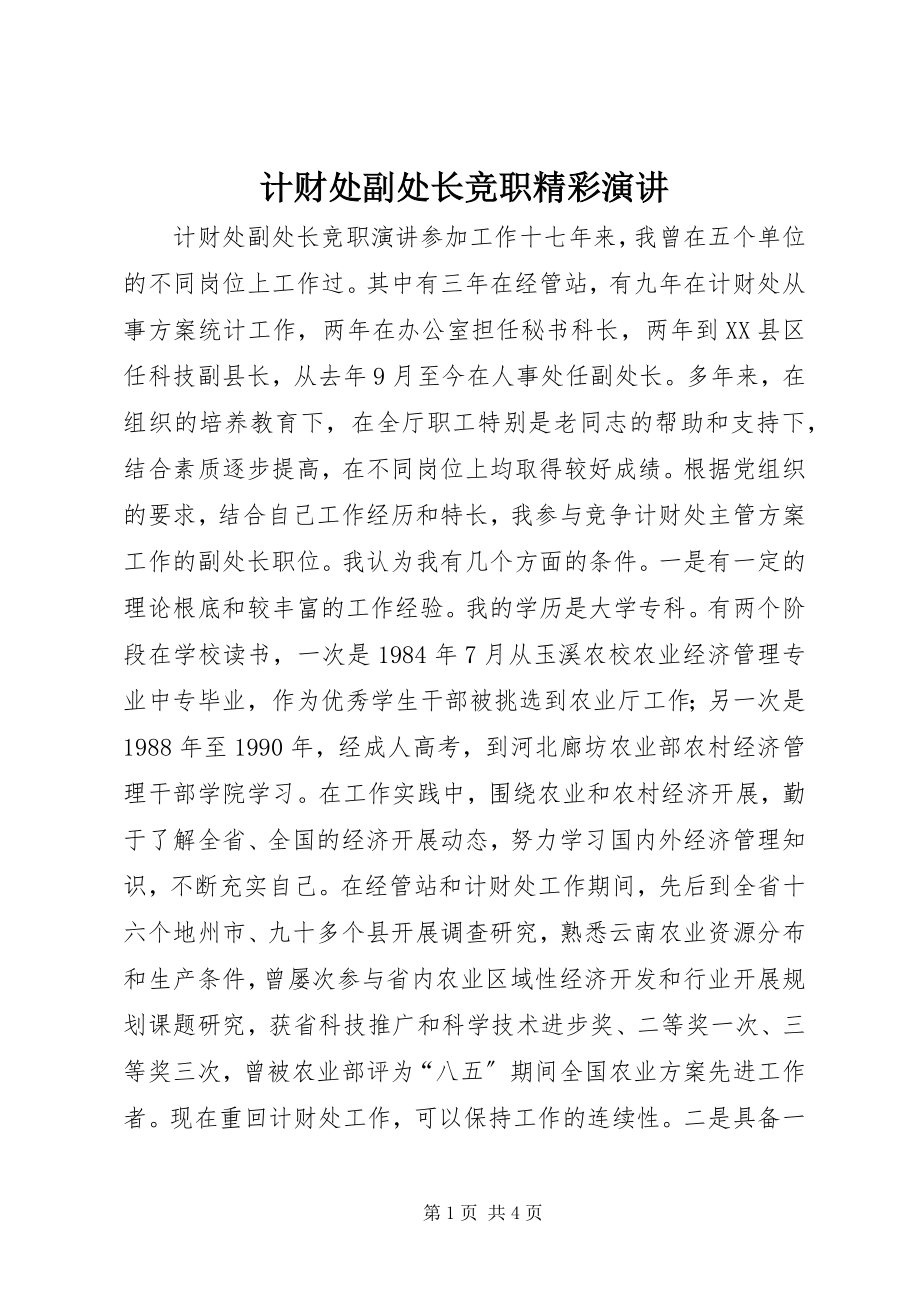 2023年计财处副处长竞职精彩演讲.docx_第1页