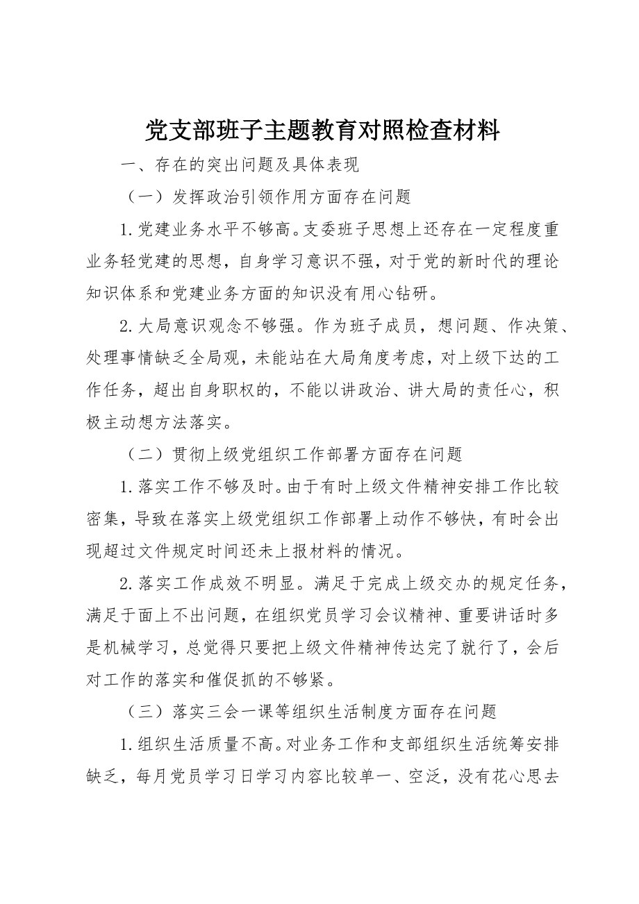 2023年党支部班子主题教育对照检查材料.docx_第1页