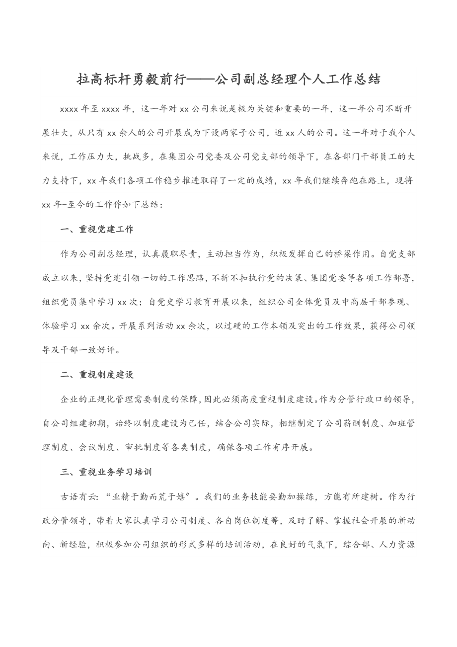 2023年拉高标杆 勇毅前行——公司副总经理个人工作总结.docx_第1页