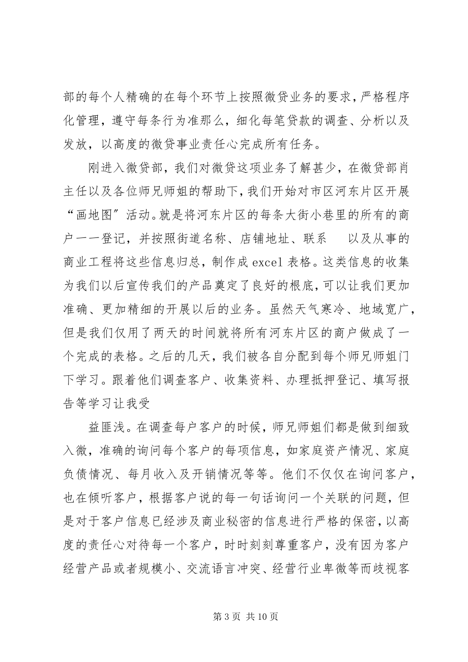 2023年微贷心得体会.docx_第3页