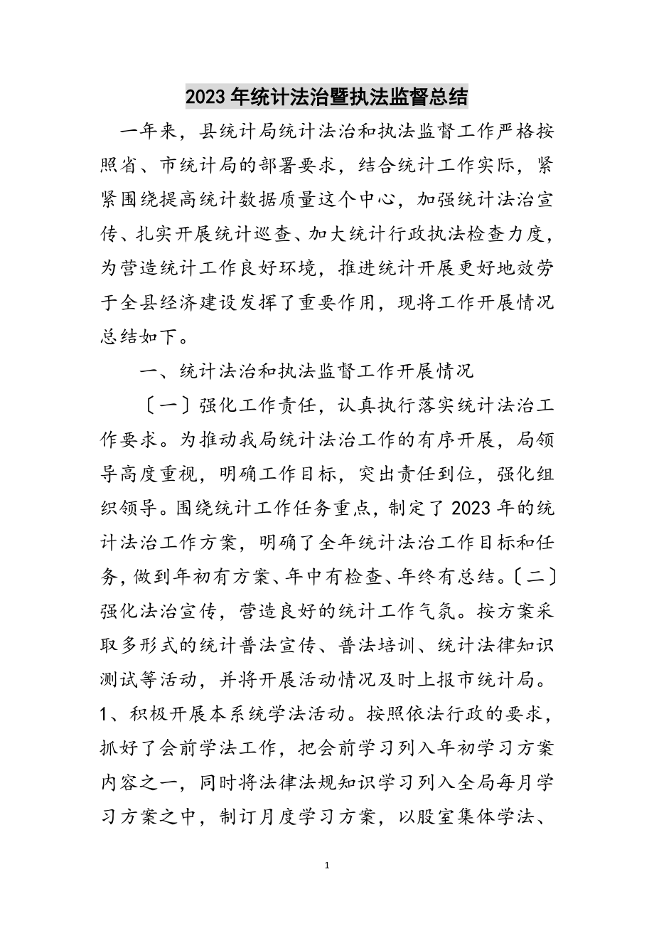 2023年年统计法治暨执法监督总结范文.doc_第1页