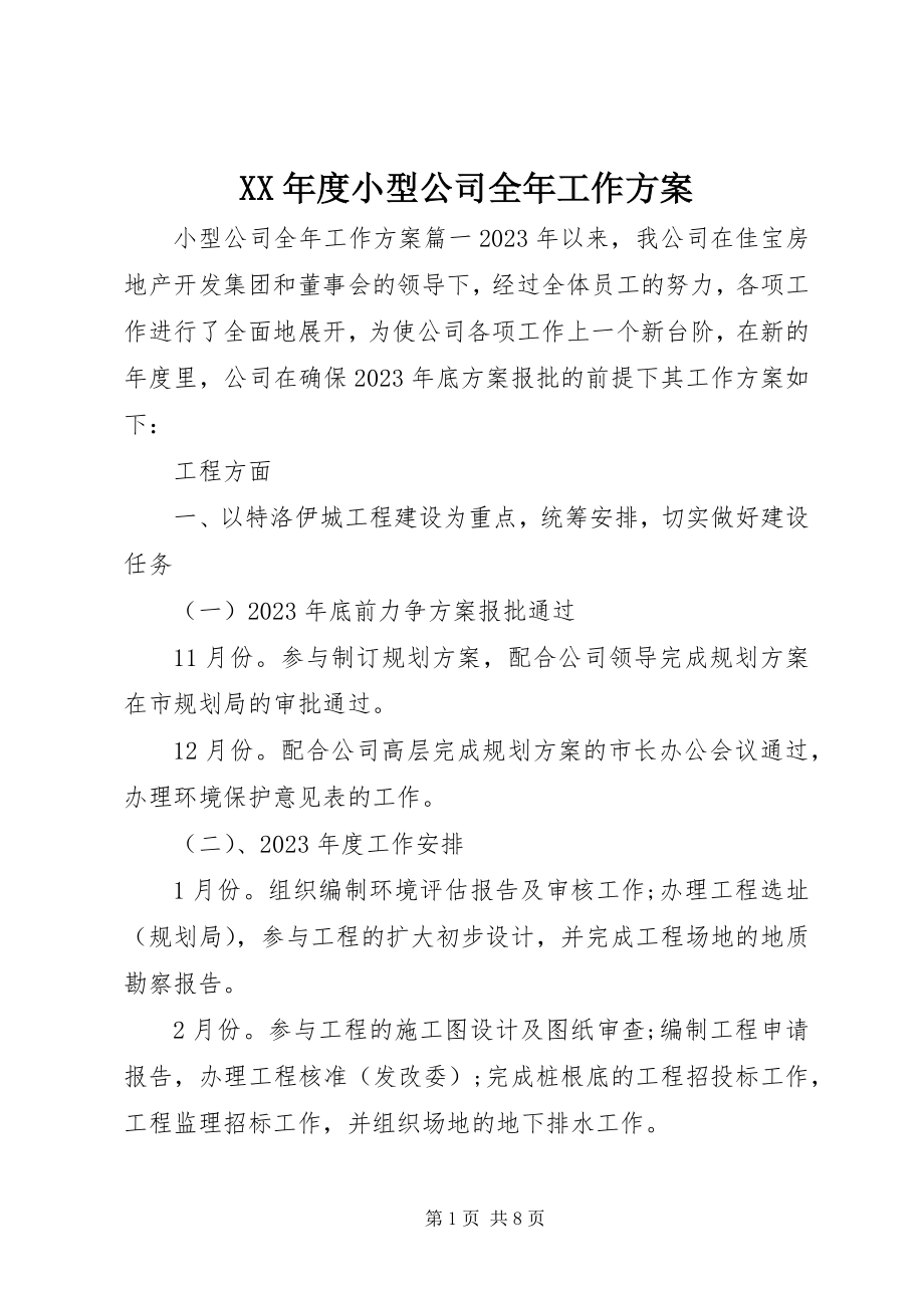 2023年小型公司全工作计划.docx_第1页