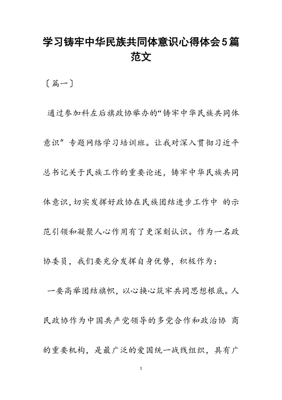 2023年学习铸牢中华民族共同体意识心得体会5篇.docx_第1页