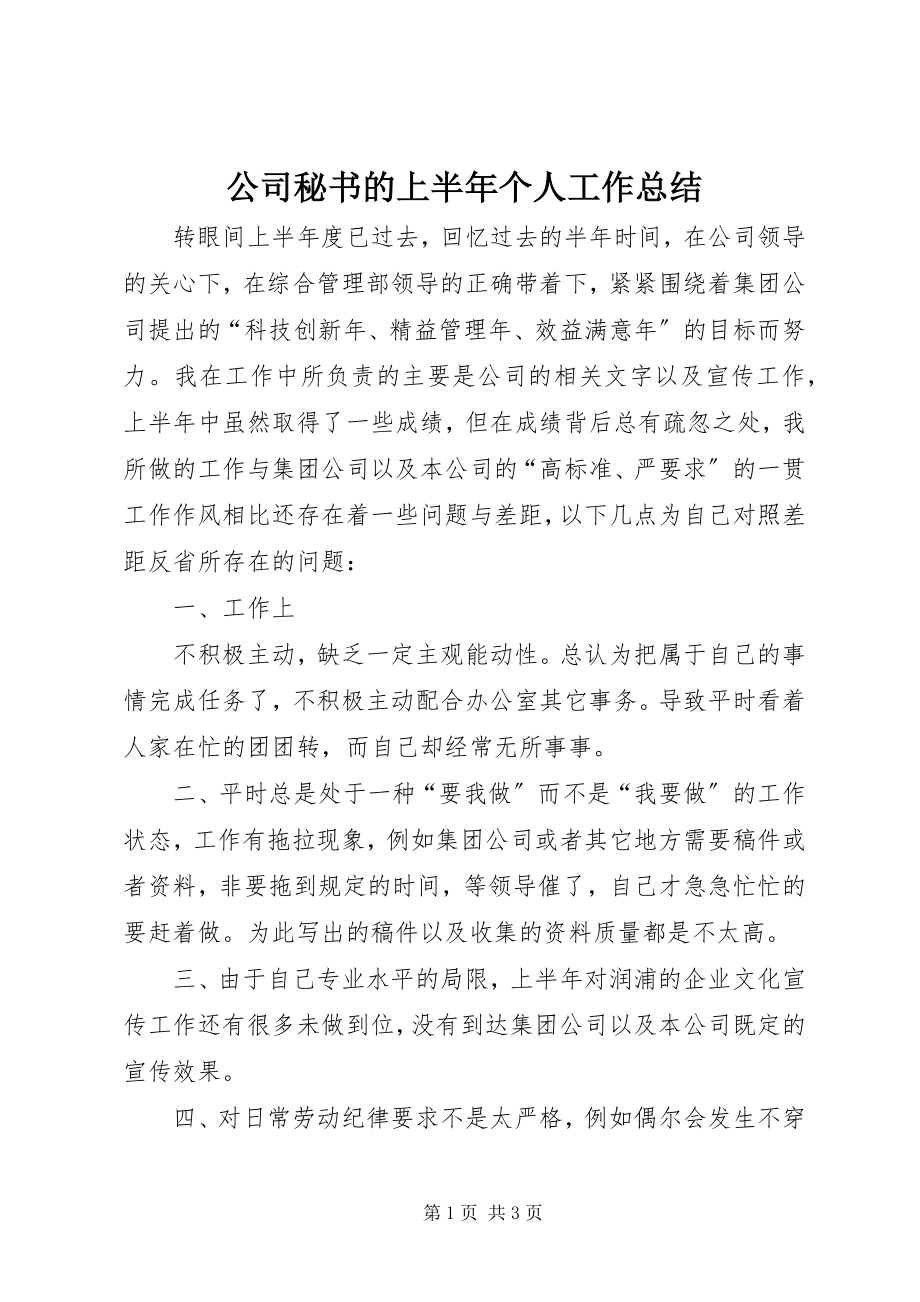 2023年公司秘书的上半年个人工作总结.docx_第1页