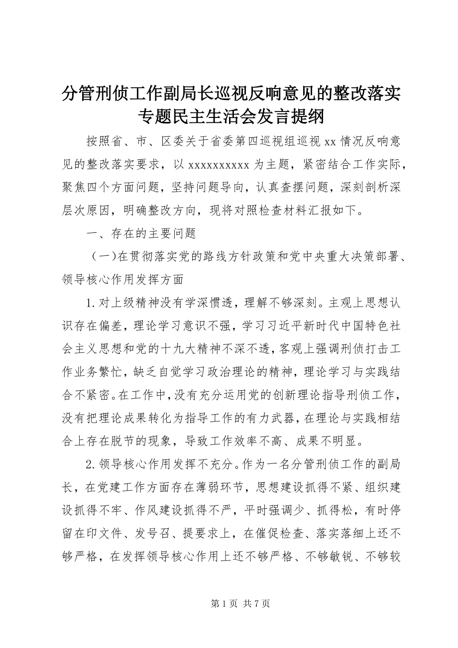 2023年分管刑侦工作副局长巡视反馈意见的整改落实专题民主生活会讲话提纲.docx_第1页