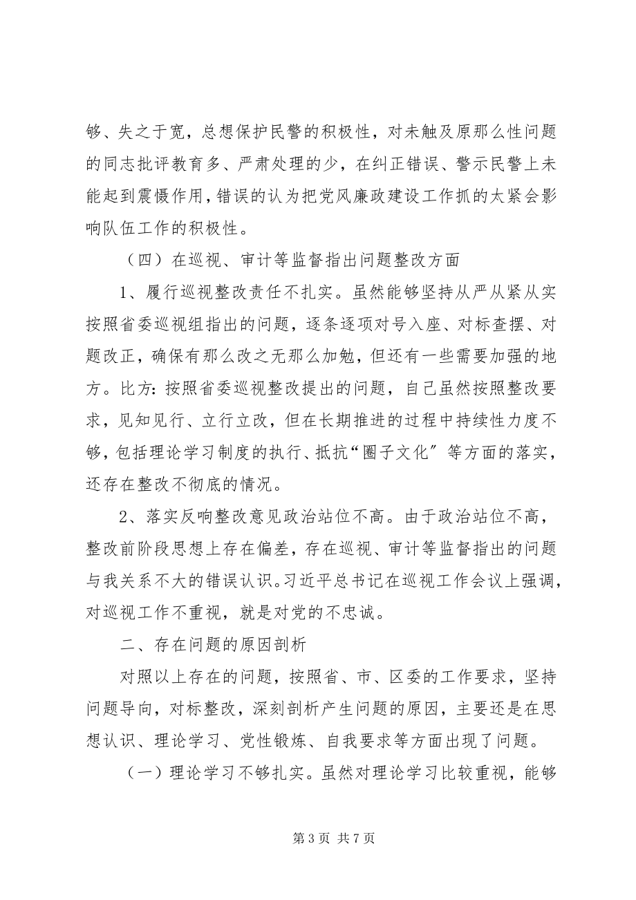 2023年分管刑侦工作副局长巡视反馈意见的整改落实专题民主生活会讲话提纲.docx_第3页