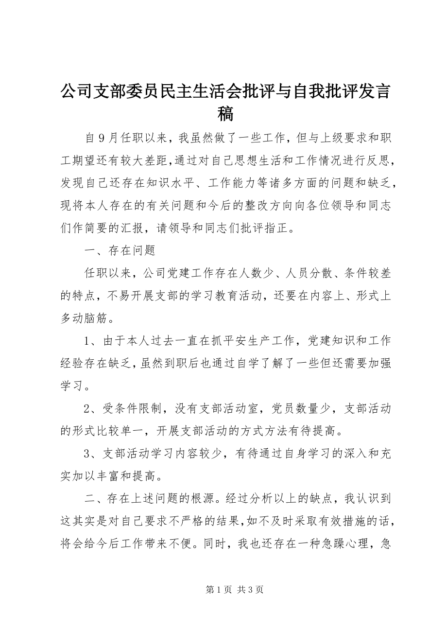 2023年公司支部委员民主生活会批评与自我批评讲话稿.docx_第1页