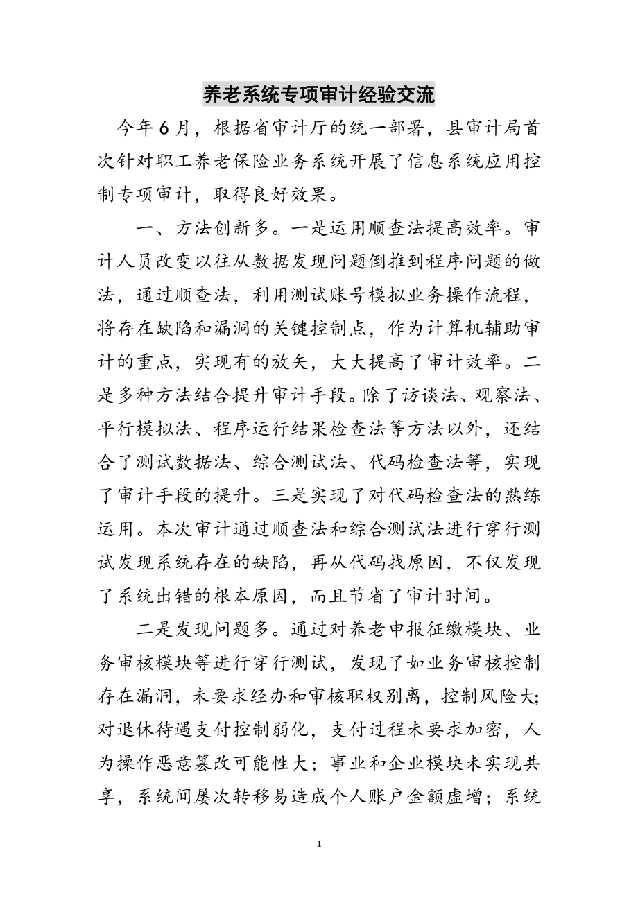 2023年养老系统专项审计经验交流范文.doc_第1页