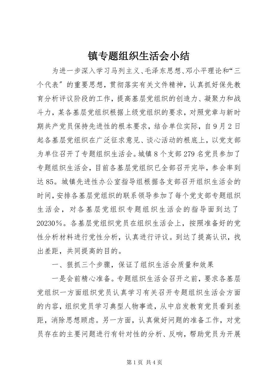 2023年镇专题组织生活会小结.docx_第1页