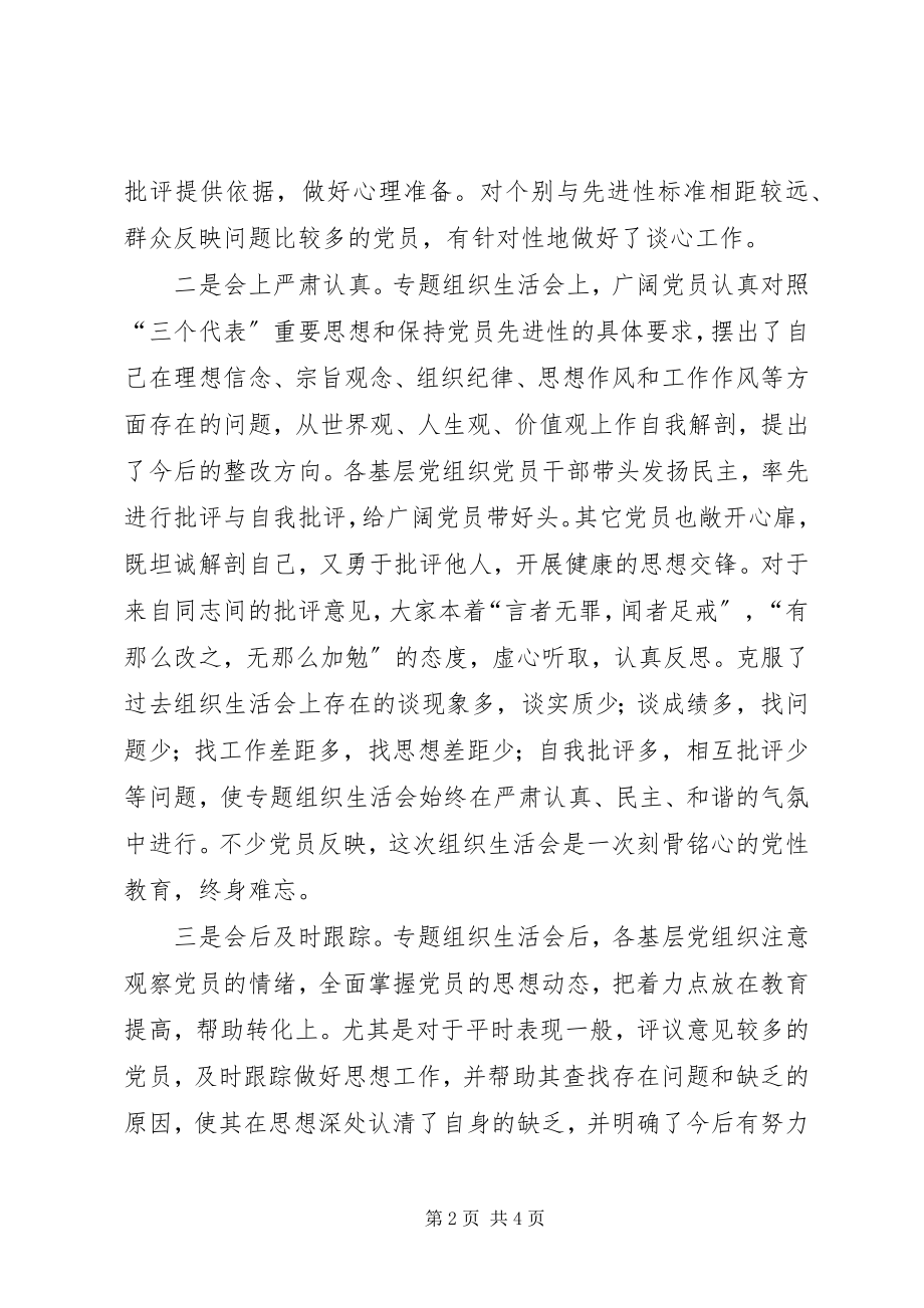 2023年镇专题组织生活会小结.docx_第2页