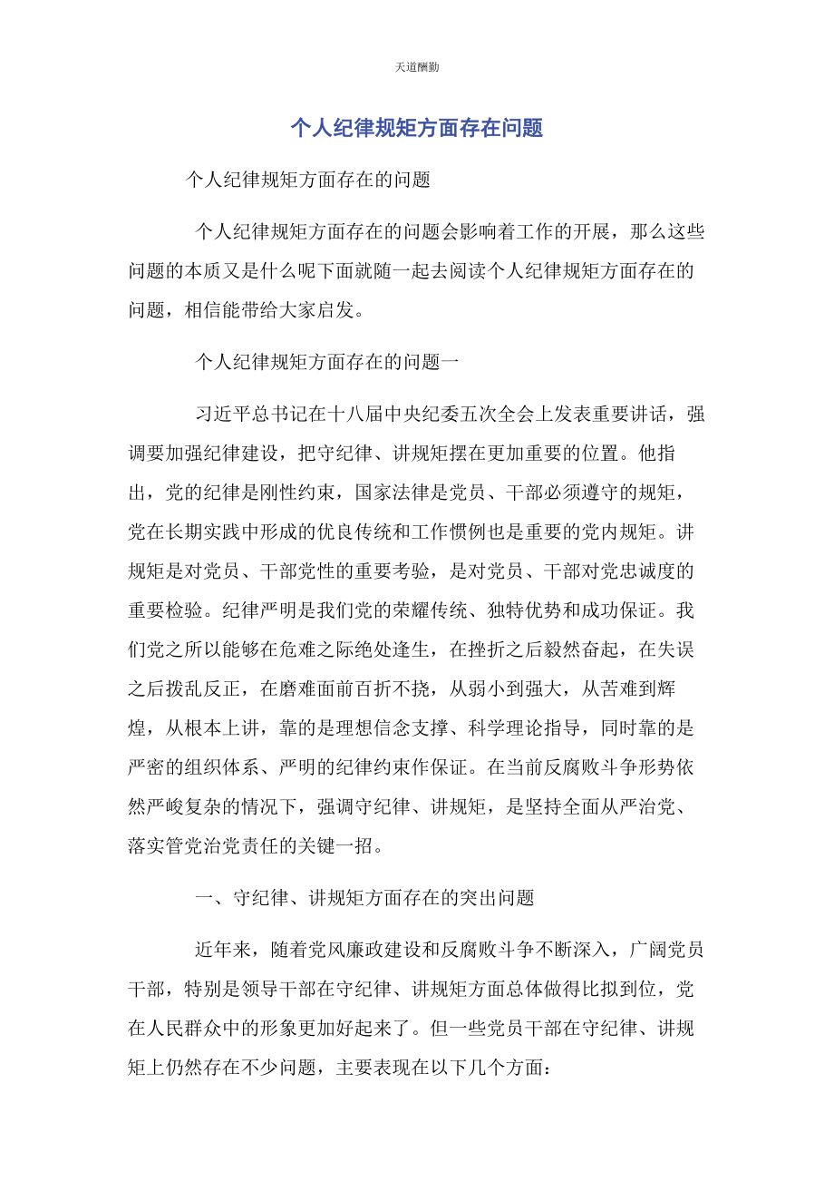 2023年个人纪律规矩方面存在问题2.docx_第1页