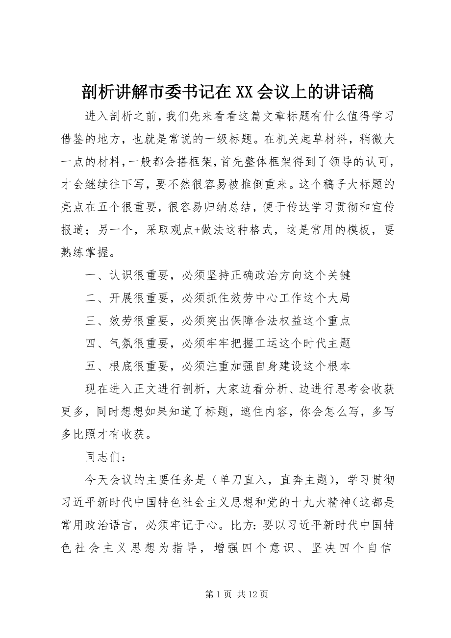 2023年剖析讲解市委书记在XX会议上的致辞稿.docx_第1页