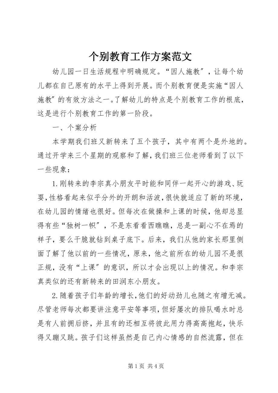 2023年个别教育工作计划.docx_第1页