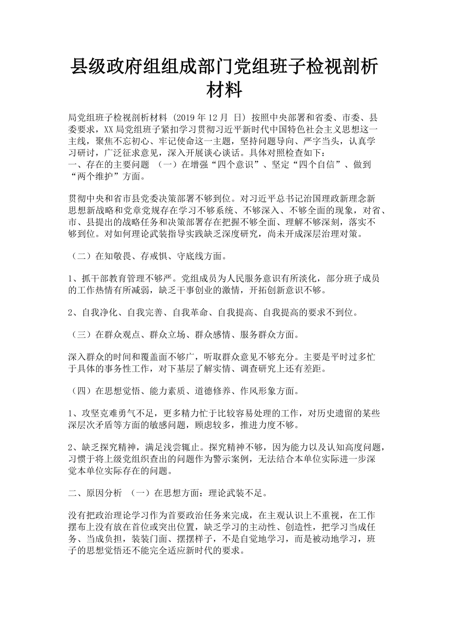 2023年县级政府组组成部门党组班子检视剖析材料.doc_第1页