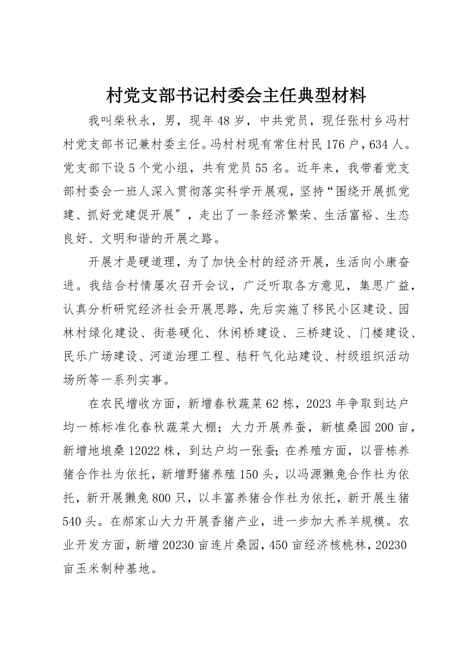 2023年村党支部书记村委会主任典型材料新编.docx_第1页