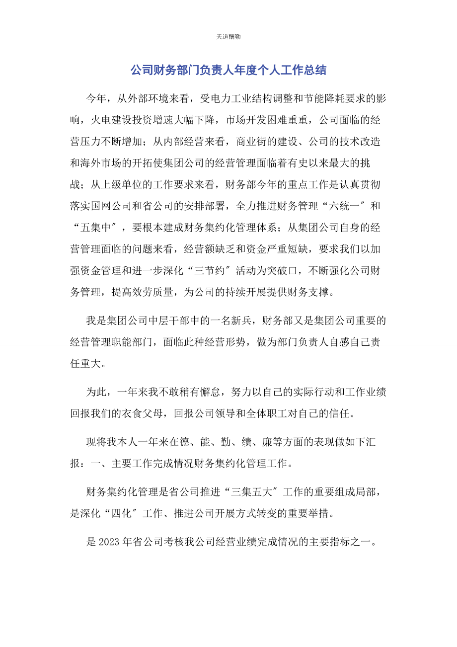 2023年公司财务部门负责人度个人工作总结.docx_第1页