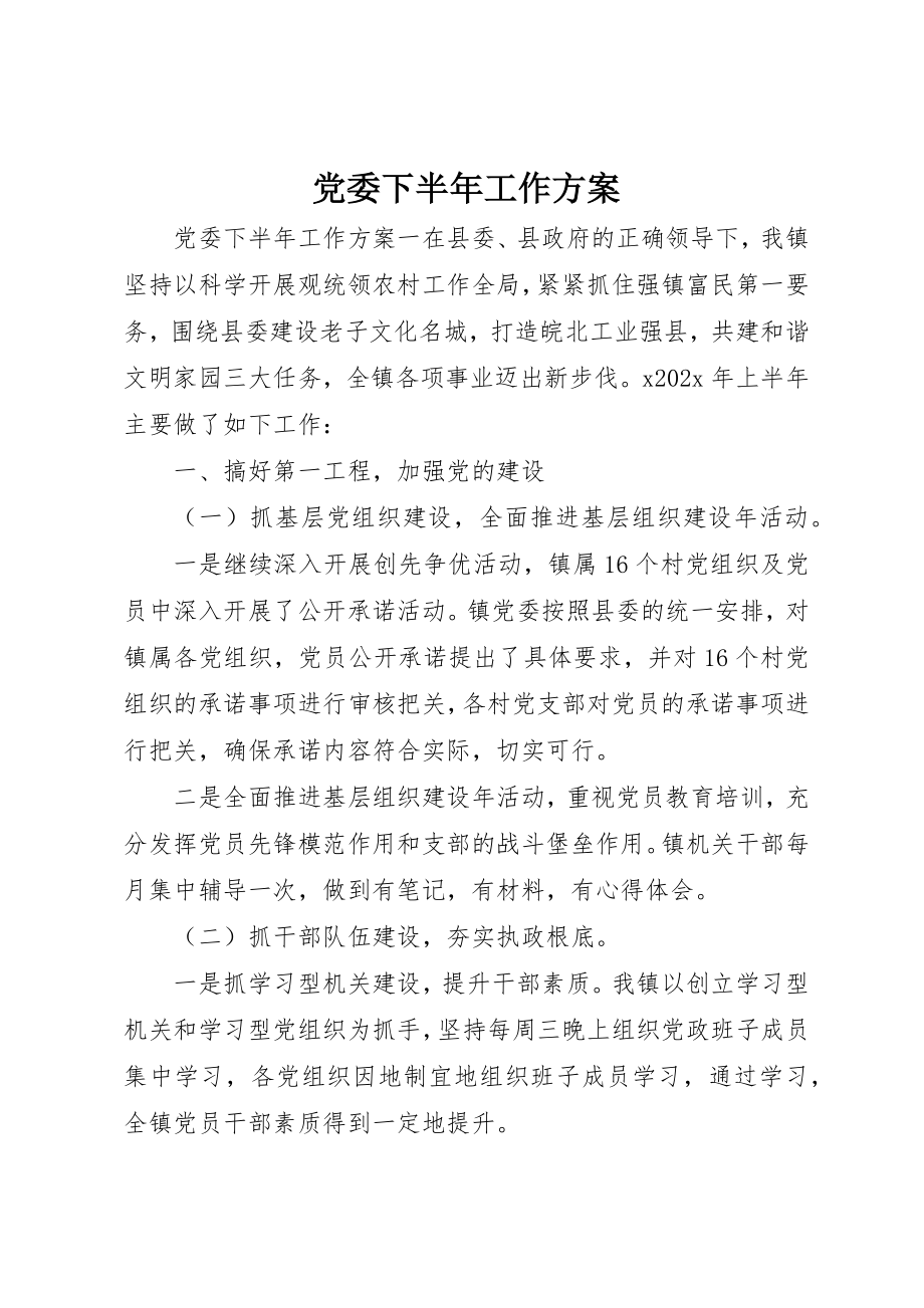 2023年党委下半年工作计划.docx_第1页