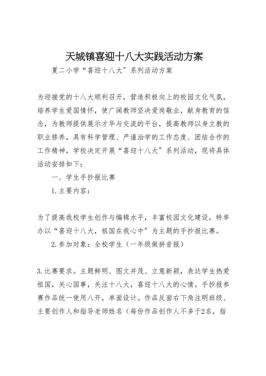 2023年天城镇喜迎十八大实践活动方案 .doc_第1页