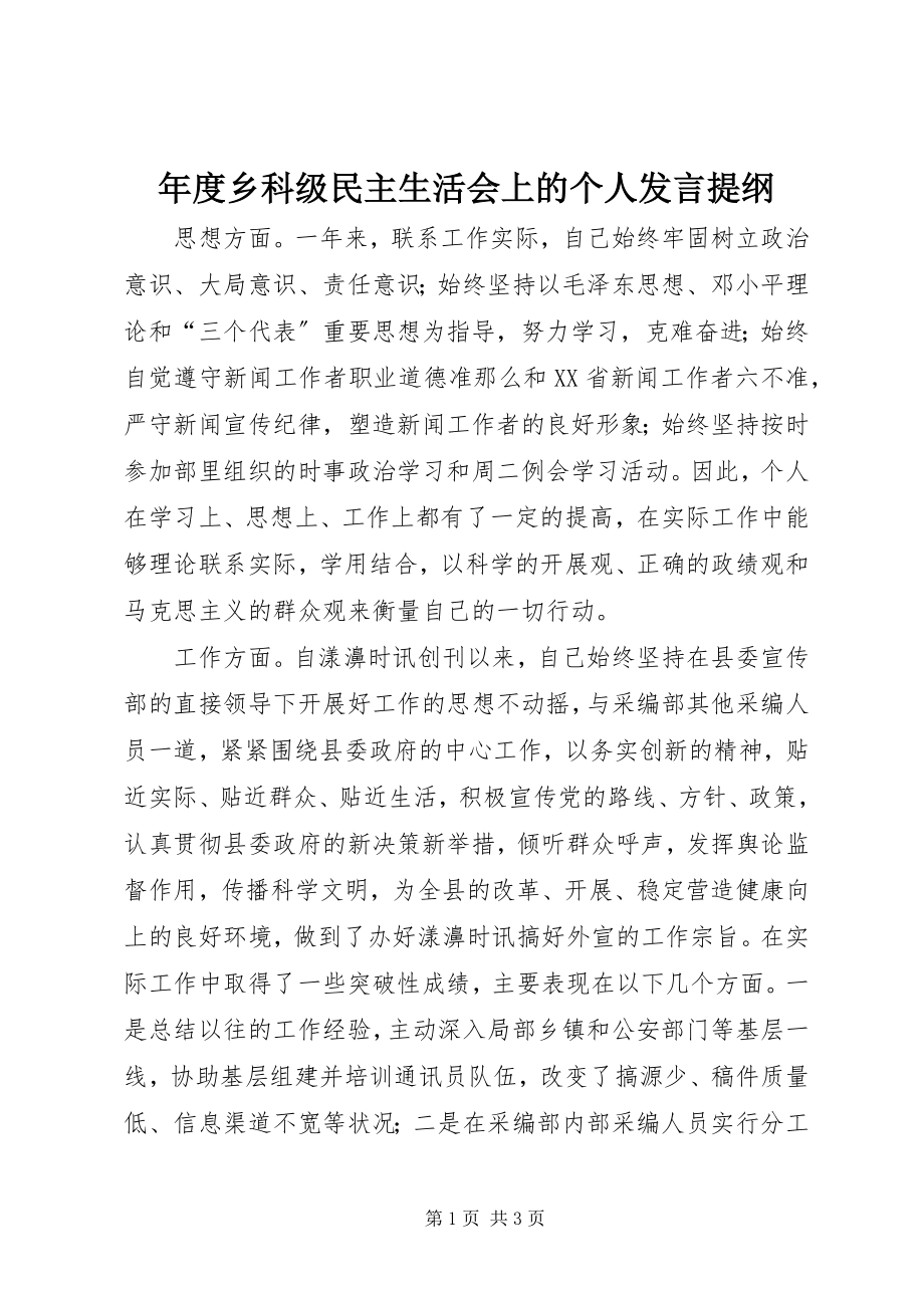 2023年乡科级民主生活会上的个人讲话提纲.docx_第1页