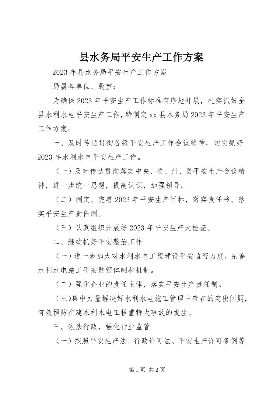 2023年县水务局安全生产工作计划.docx_第1页