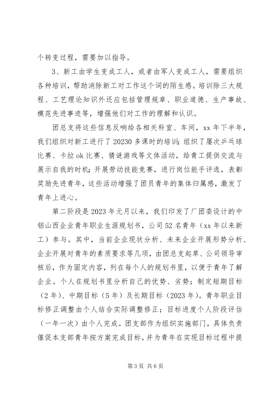 2023年青年职业生涯导航经验汇报.docx_第3页