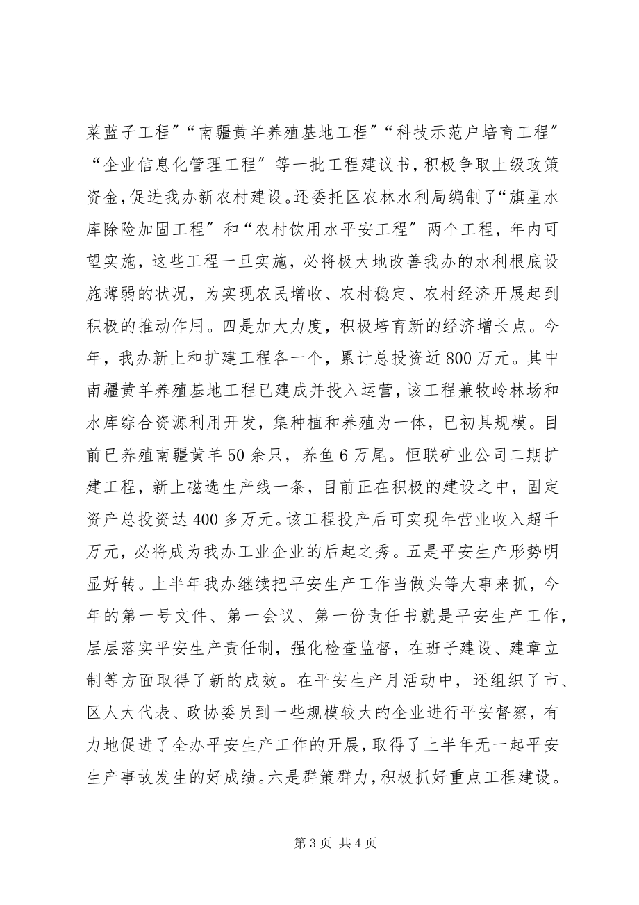 2023年办事处半年工作总结新编.docx_第3页