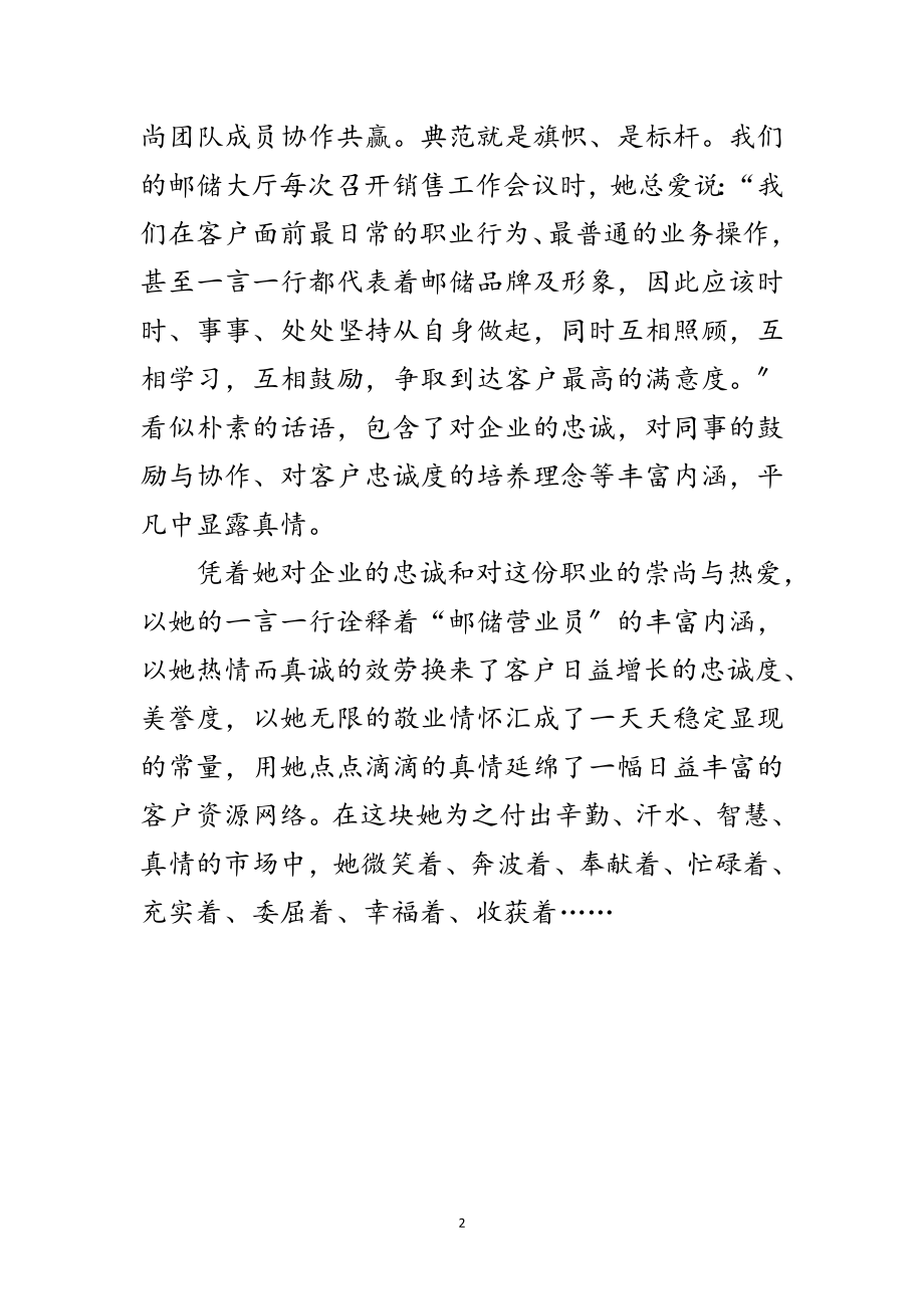 2023年营销之星先进事迹材料范文.doc_第2页