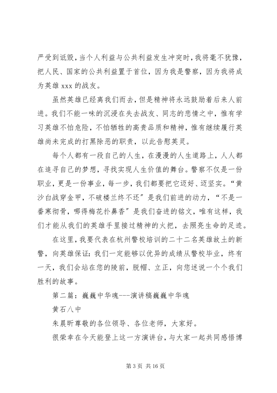 2023年巍巍萧然埋忠魂演讲稿.docx_第3页