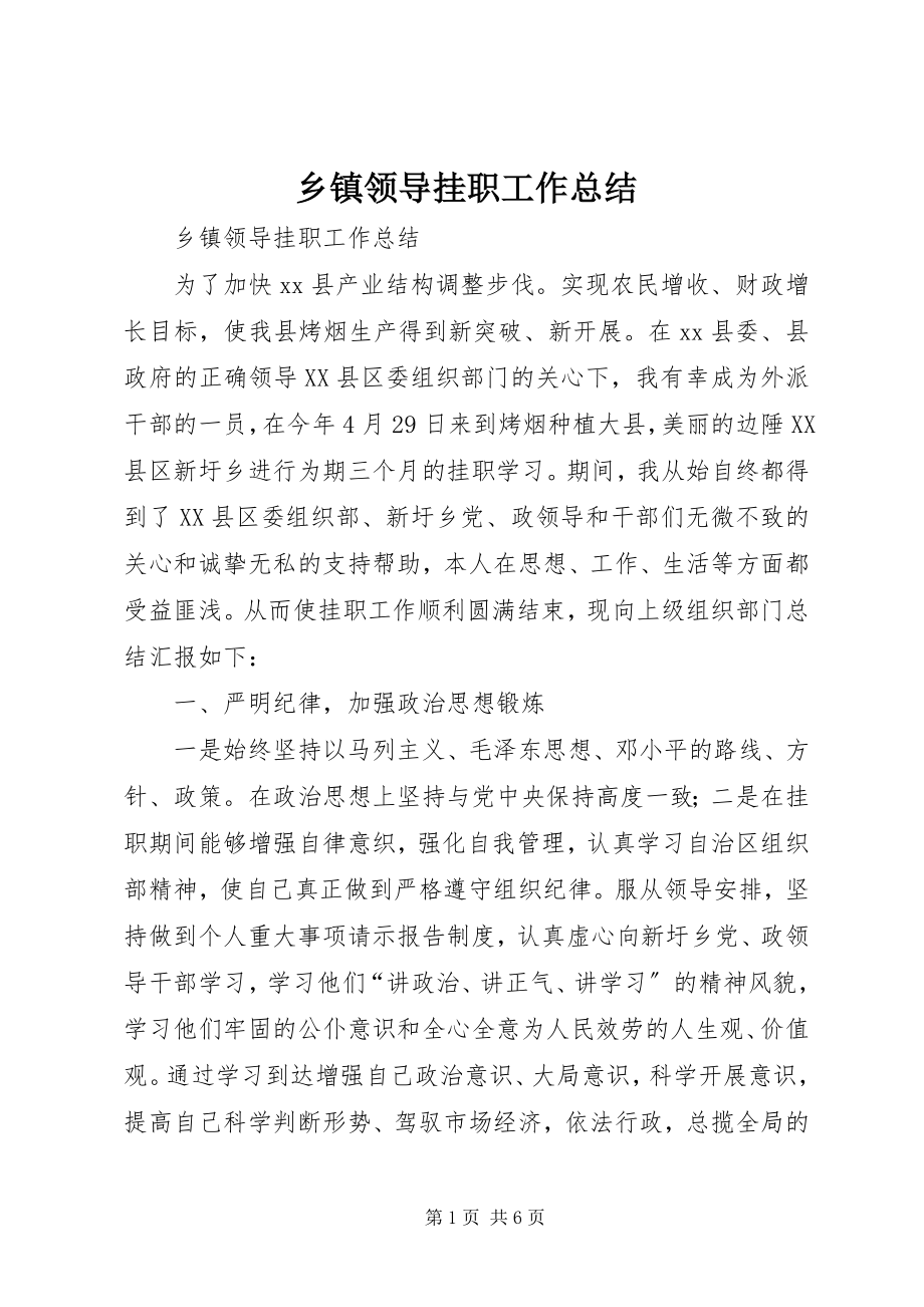 2023年乡镇领导挂职工作总结.docx_第1页