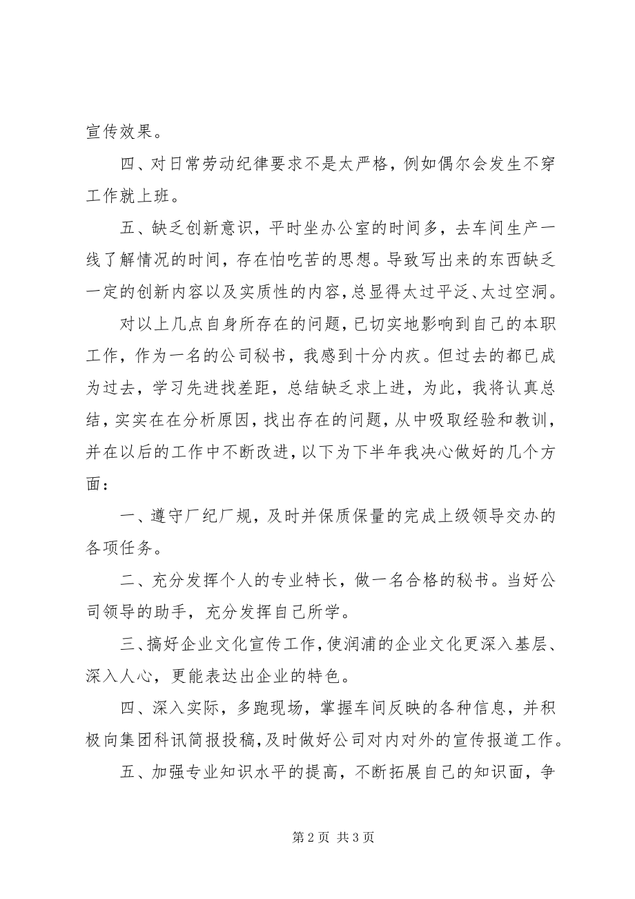 2023年公司秘书上半年个人工作总结2.docx_第2页