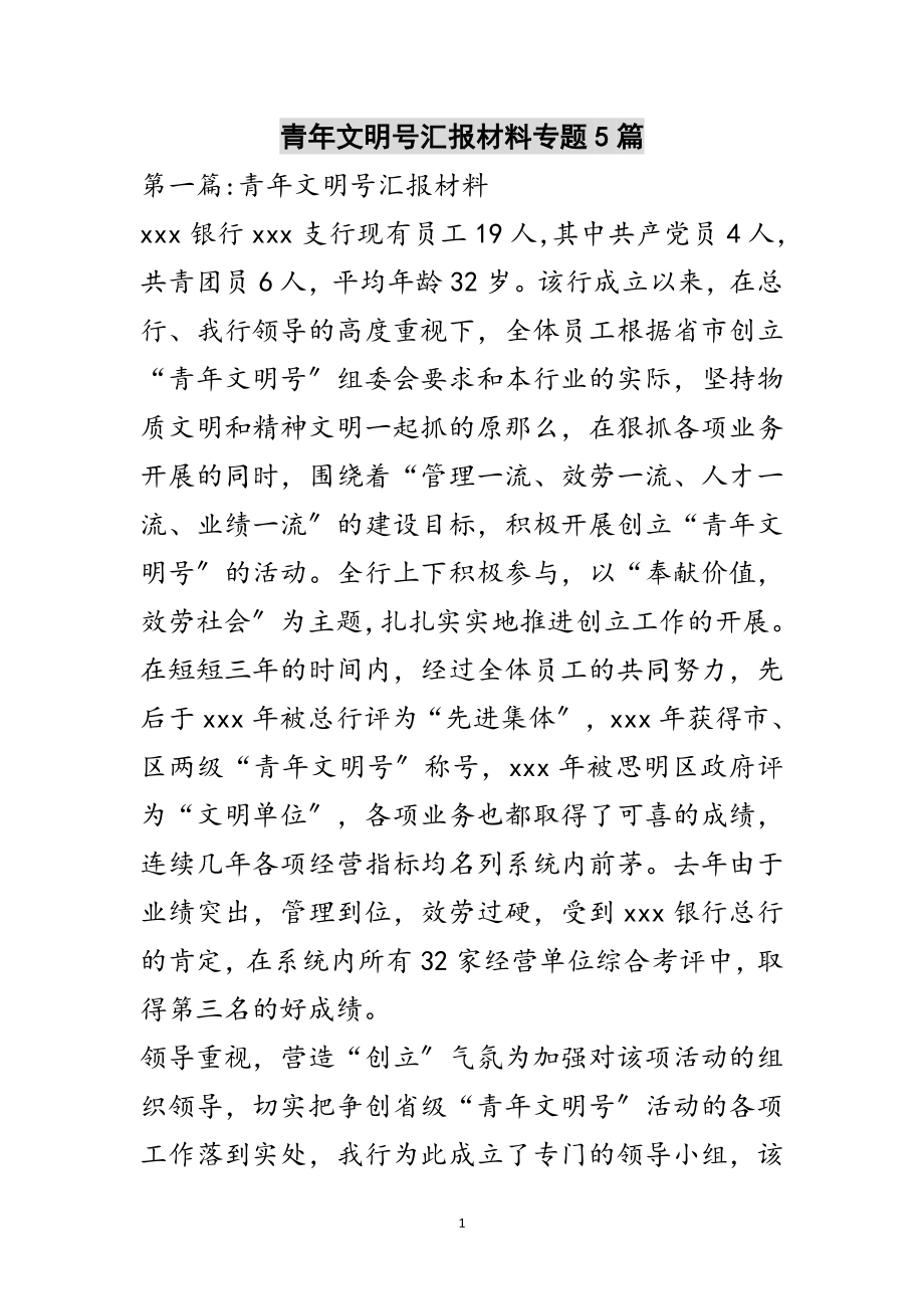 2023年青年文明号汇报材料专题5篇范文.doc_第1页