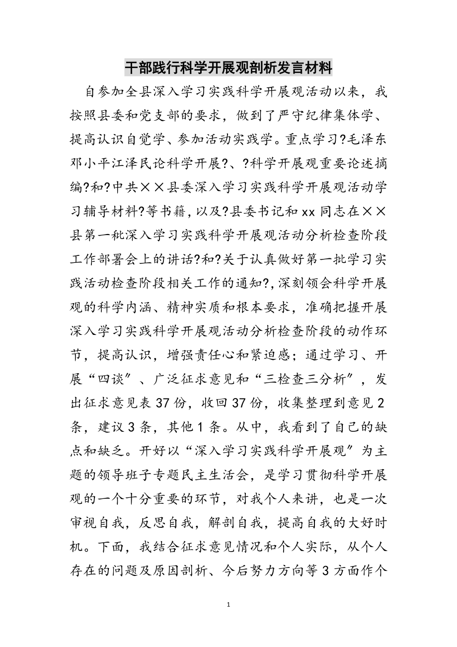 2023年干部践行科学发展观剖析发言材料范文.doc_第1页