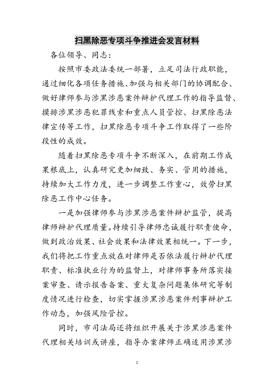 2023年扫黑除恶专项斗争推进会发言材料范文.doc_第1页