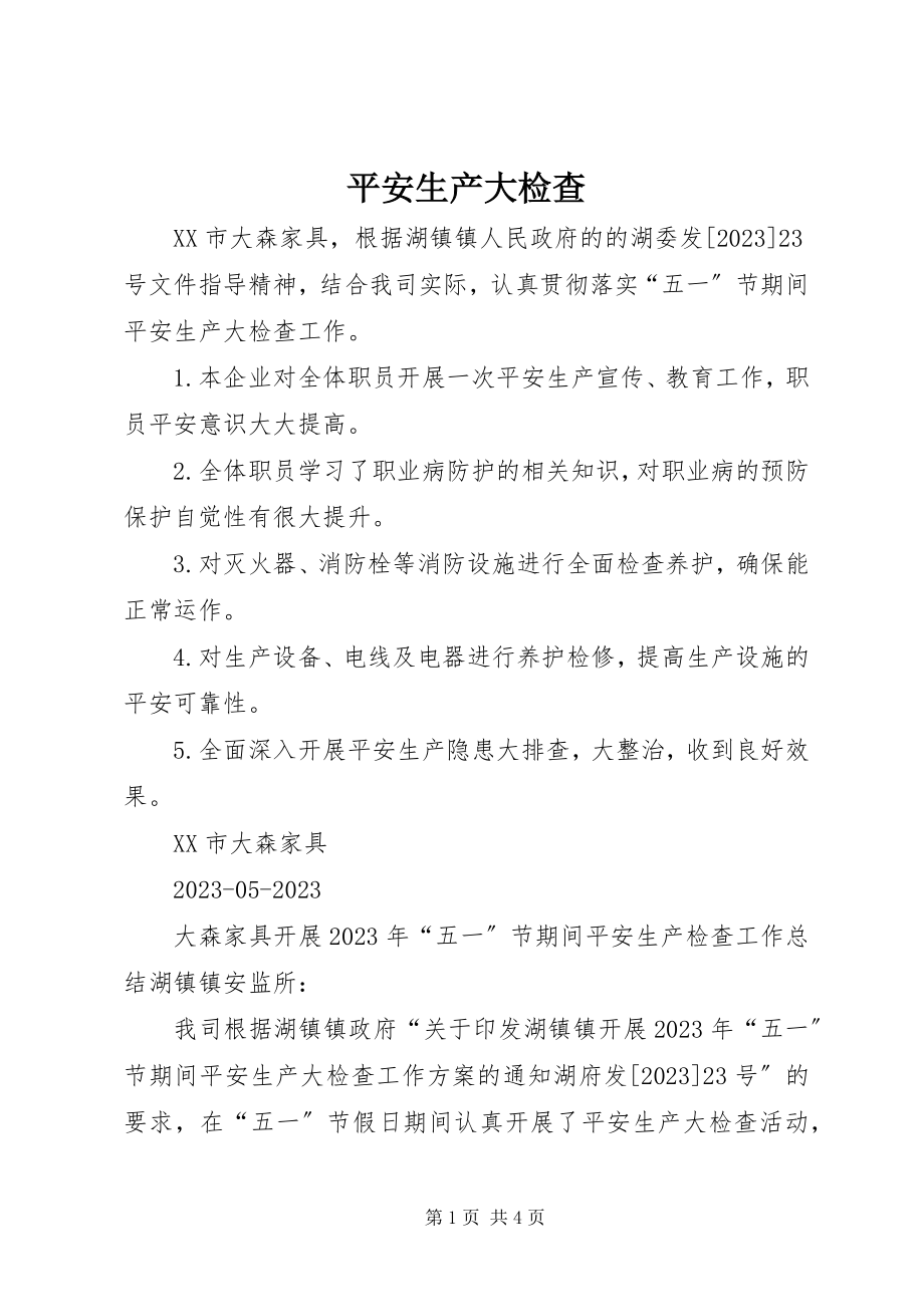 2023年安全生产大检查新编.docx_第1页