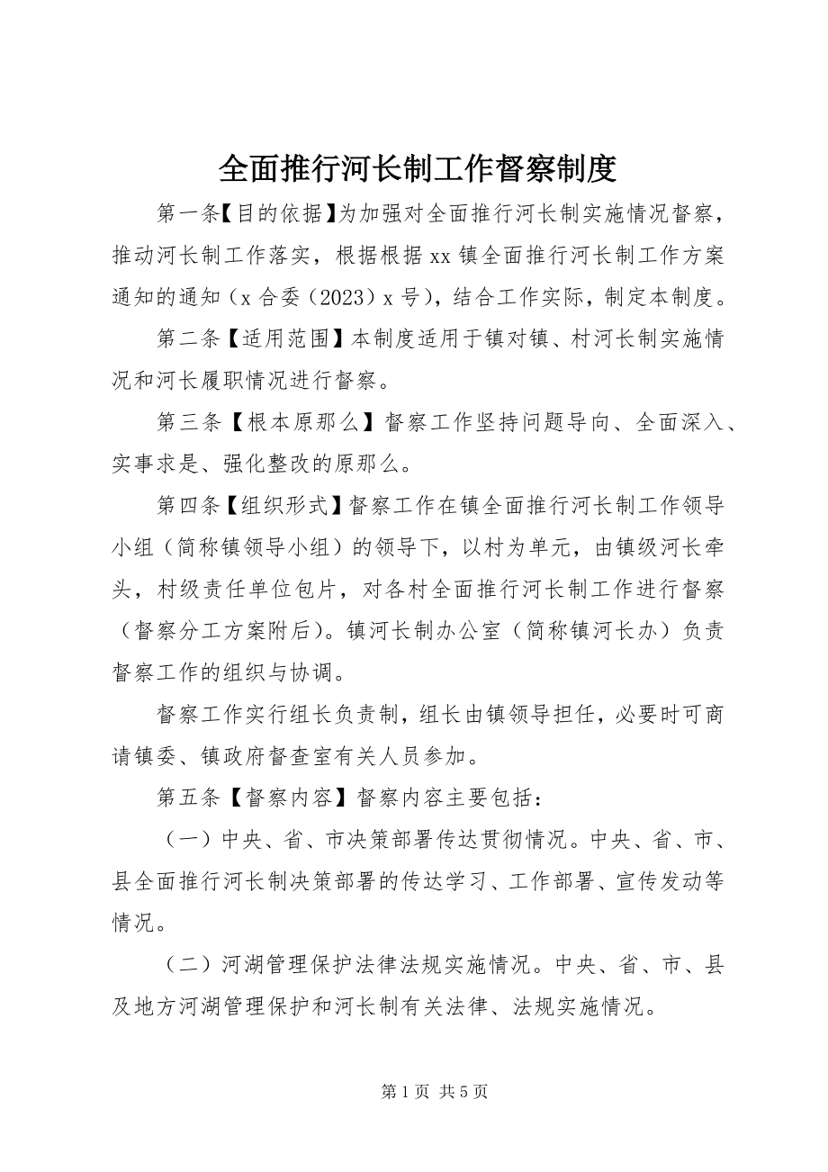 2023年全面推行河长制工作督察制度.docx_第1页