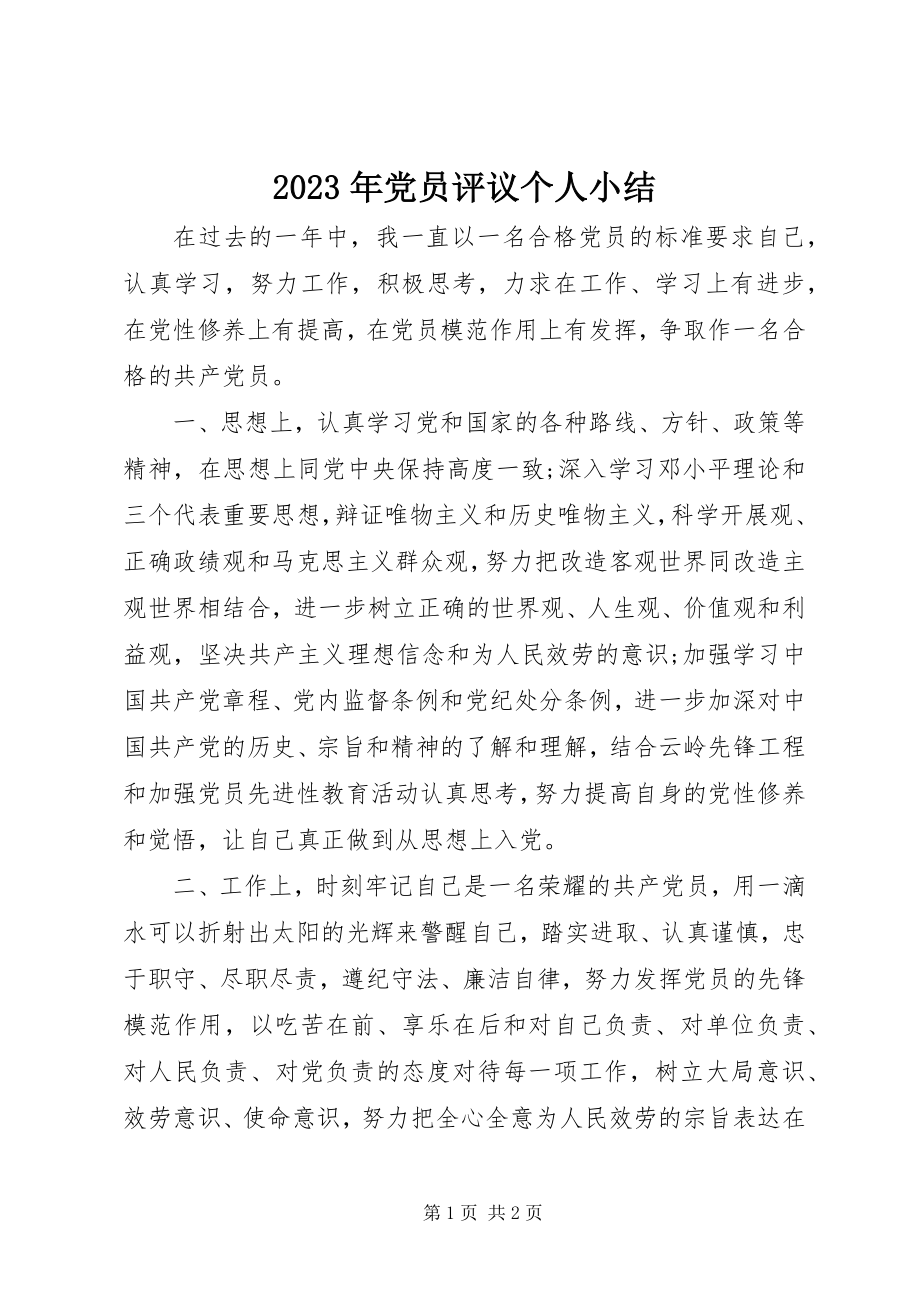 2023年党员评议个人小结.docx_第1页