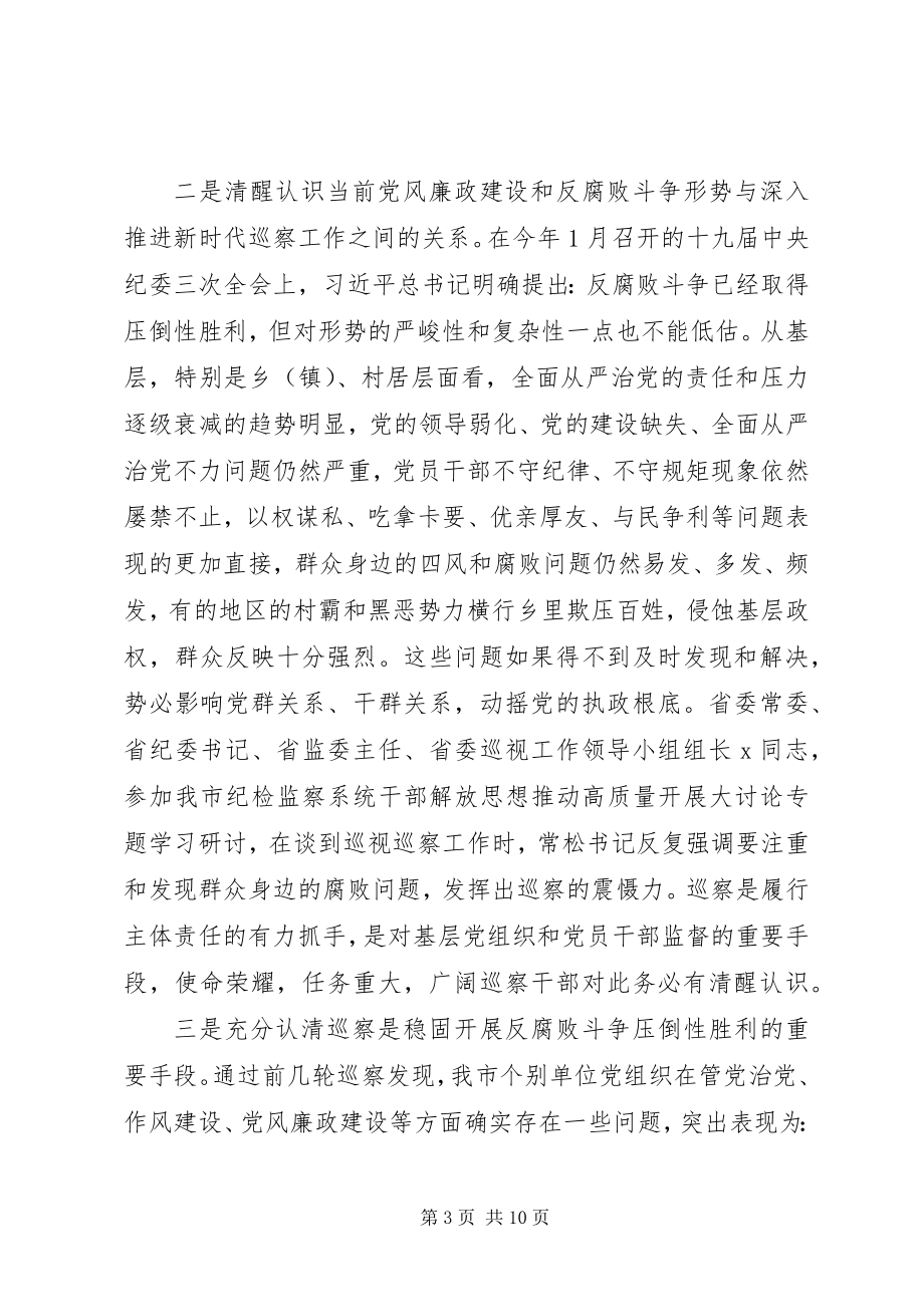 2023年在巡察动员会上的致辞法院.docx_第3页